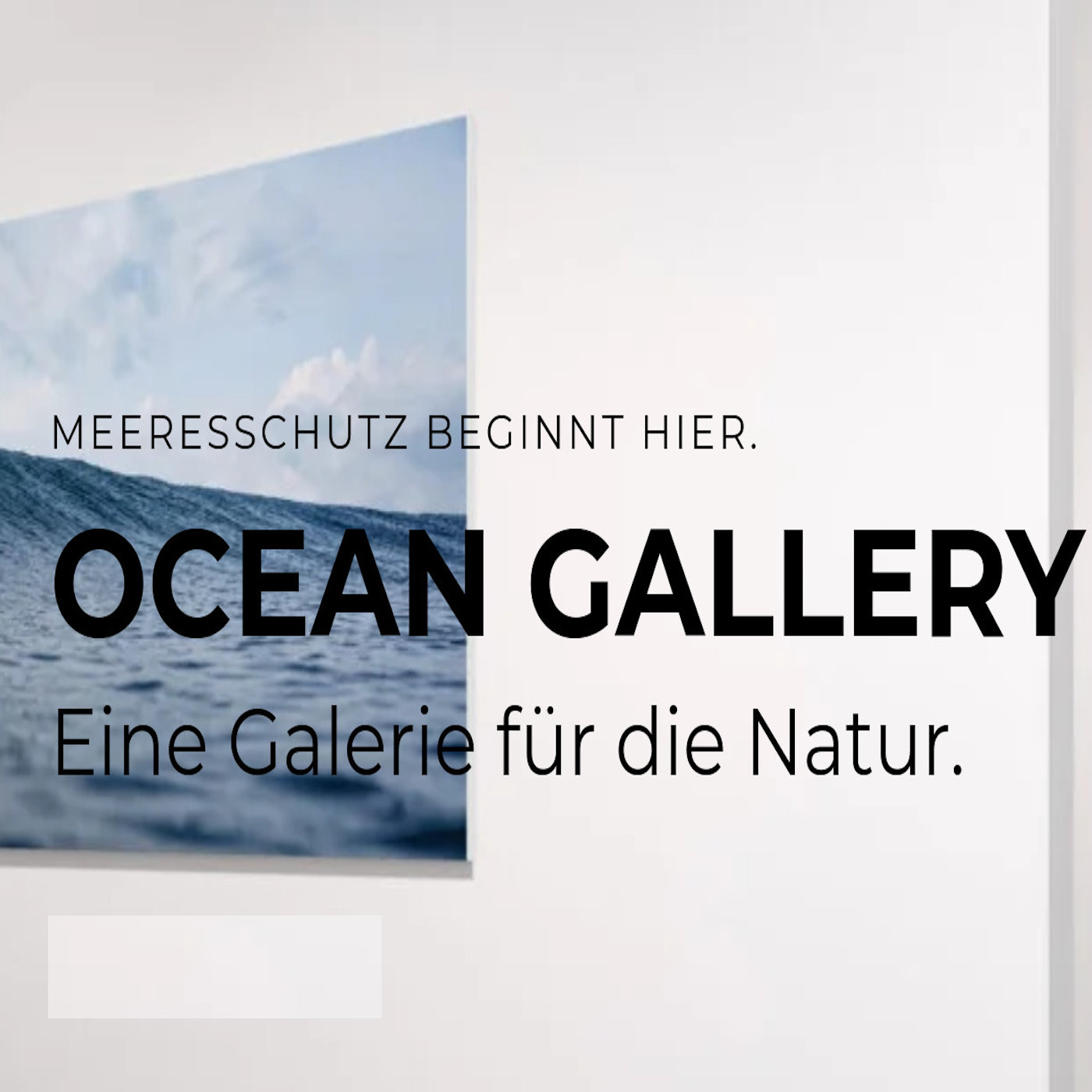 Pop-Up Ocean Gallery - Interview mit Meeresfotografin Julia Ochs